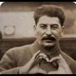 Meet your Posher, Tanner